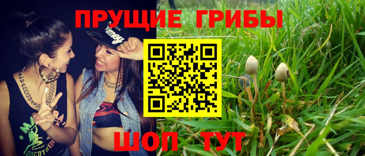 Псилоцибиновые грибы MAGIC MUSHROOMS Барабинск