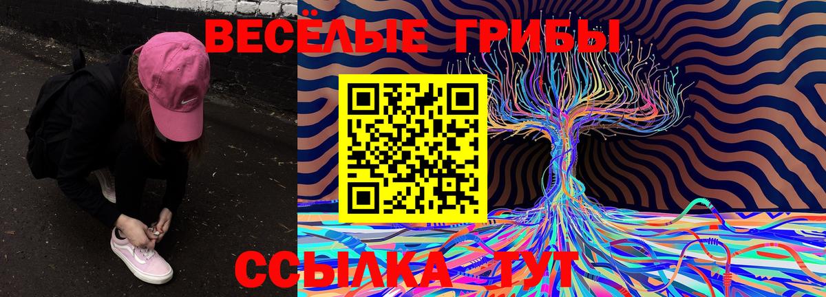 Барабинск  Галлюциногенные грибы Psilocybine cubensis  Вход с VPN 